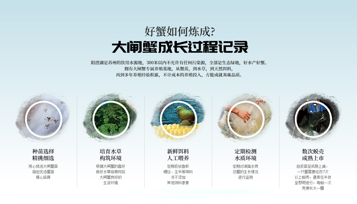 大闸蟹店铺